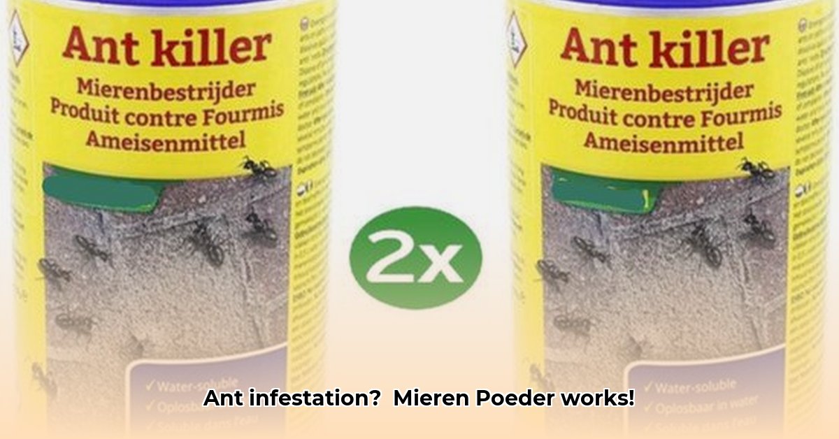 mieren-poeder-action